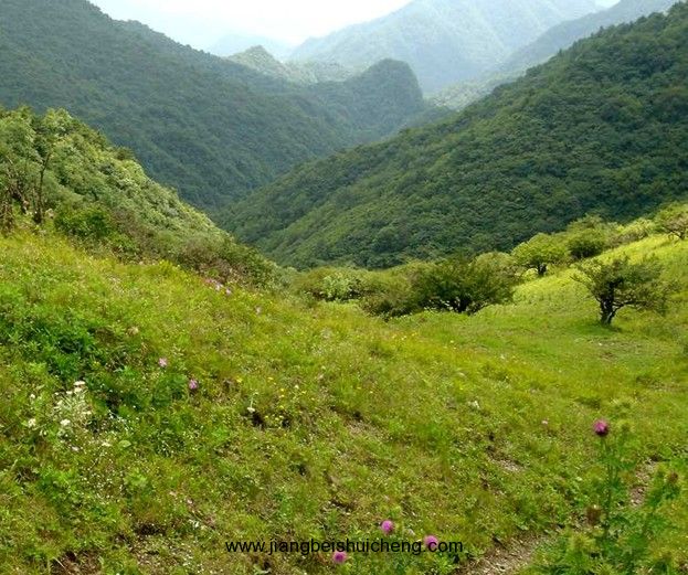 【走遍中國·景點篇】秦嶺 【走遍中國·景點篇】秦嶺